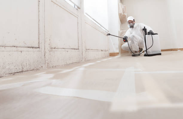 24/7 Emergency Basement Mold Remediation experts in Keyport, NJ